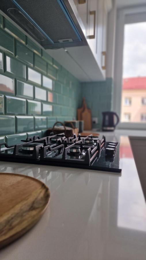 Alfama Garden Apartment Grudziadz Ngoại thất bức ảnh